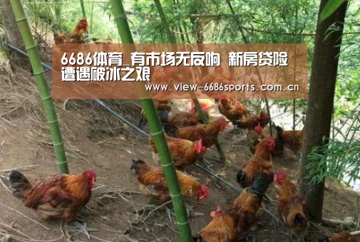 6686体育_有市场无反响 新房贷险遭遇破冰之艰(图2) 6686体育