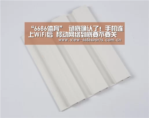 “6686体育”
谜底确认了!手机连上WiFi后 移动网络到底要不要关掉?(图1) 6686体育
